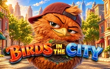 Birds In The City