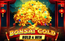 Bonsai Gold Hold & Win
